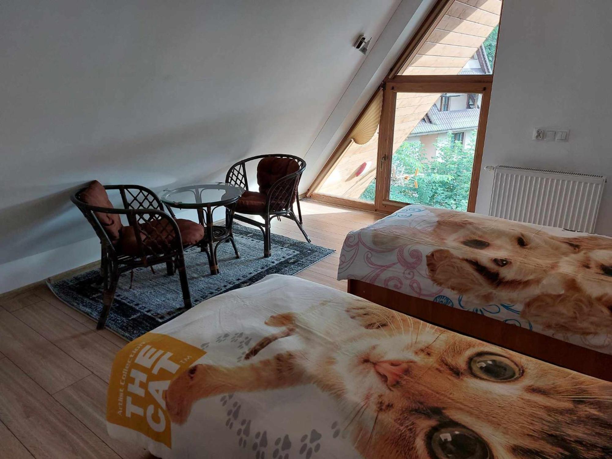 Apartamenty Cede Zakopane Buitenkant foto